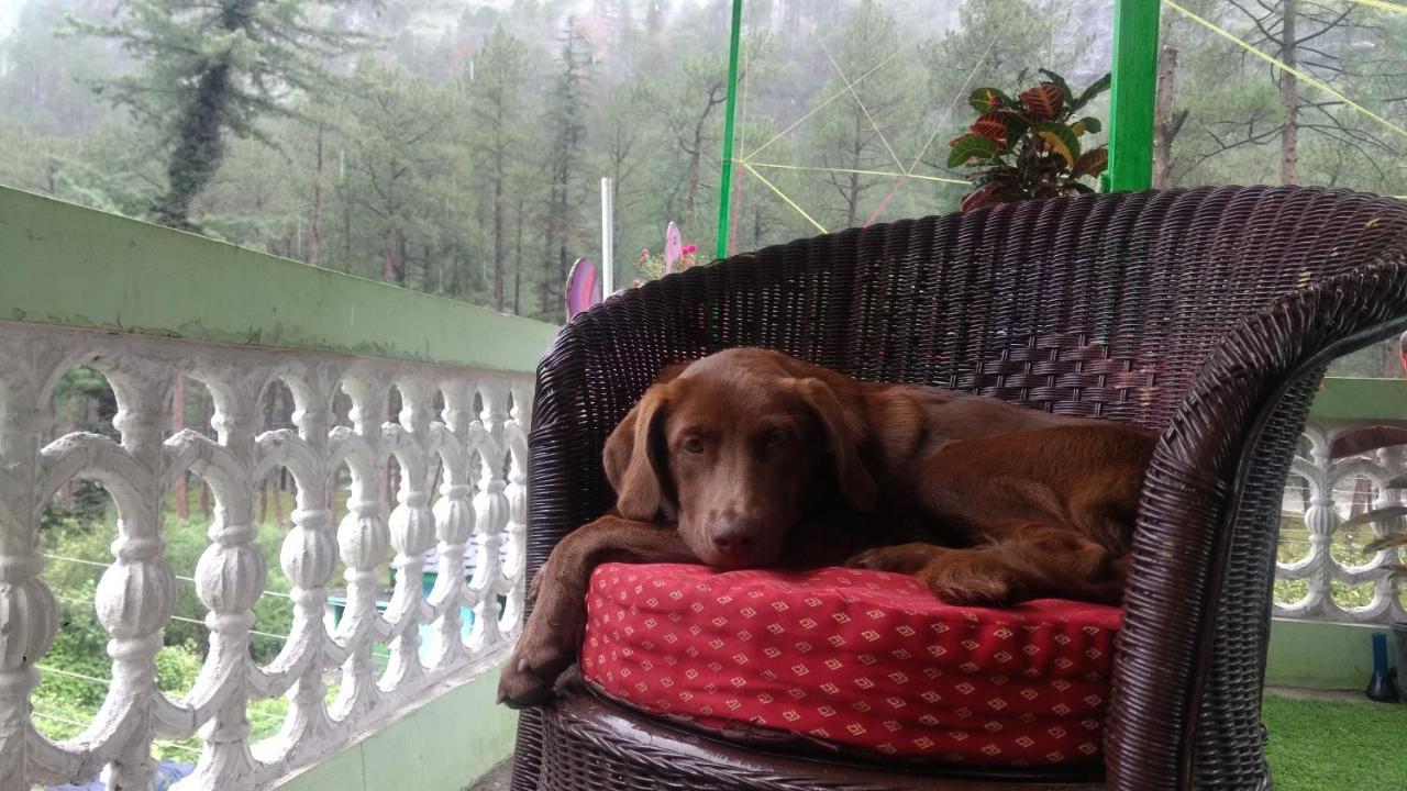 Destination Of Peace Hostel Kasol Kültér fotó